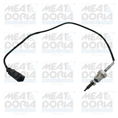 Sensor, exhaust gas temperature